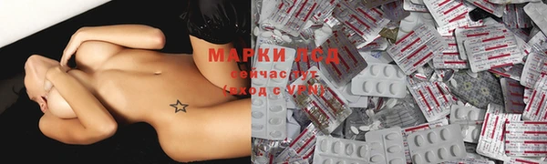 крисы Алзамай