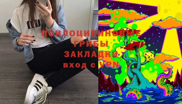 Альфа ПВП Алексеевка