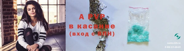 СК Алексин