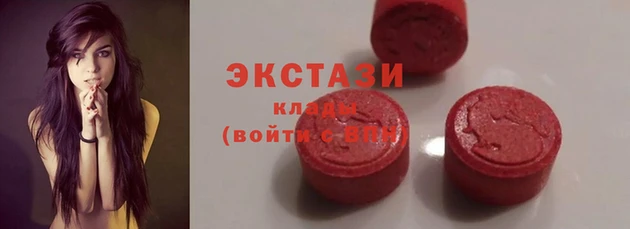 крисы Алзамай