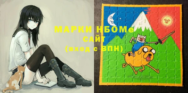 СК Алексин