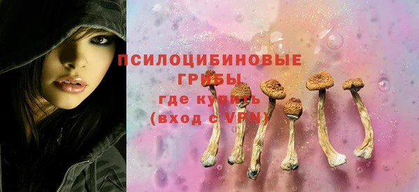 соль ск Приозерск