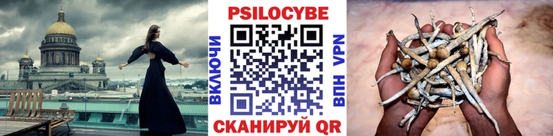 Псилоцибиновые грибы мицелий Апрелевка