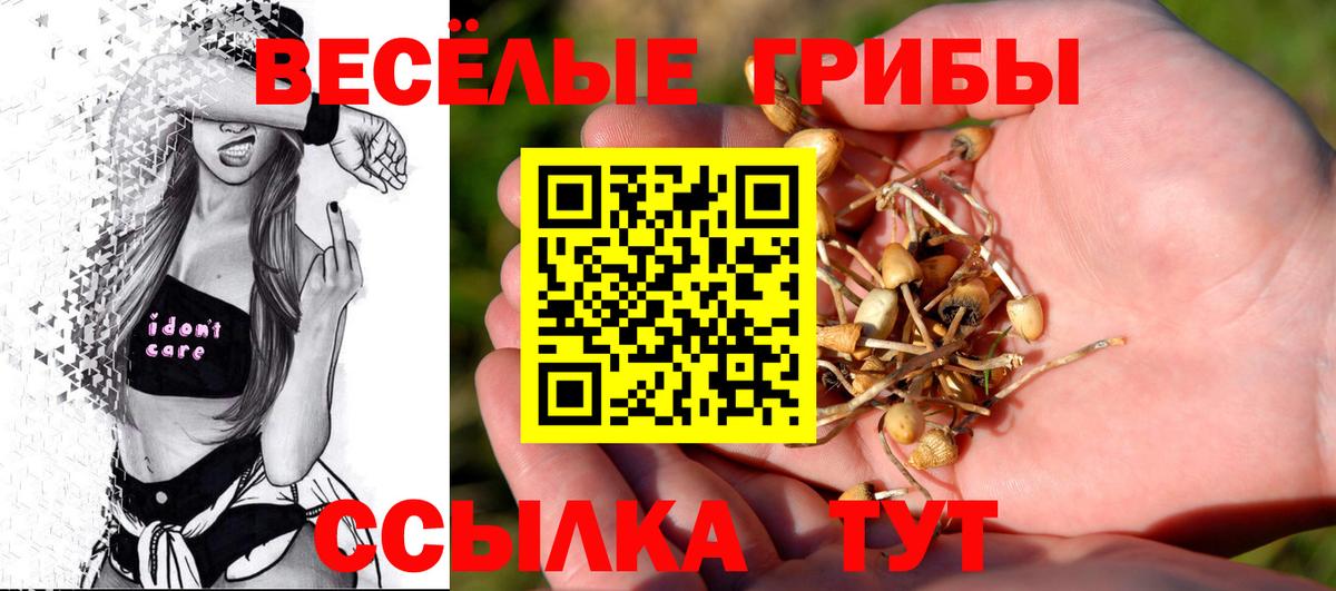 Псилоцибиновые грибы Cubensis  Вход с VPN  Апрелевка 